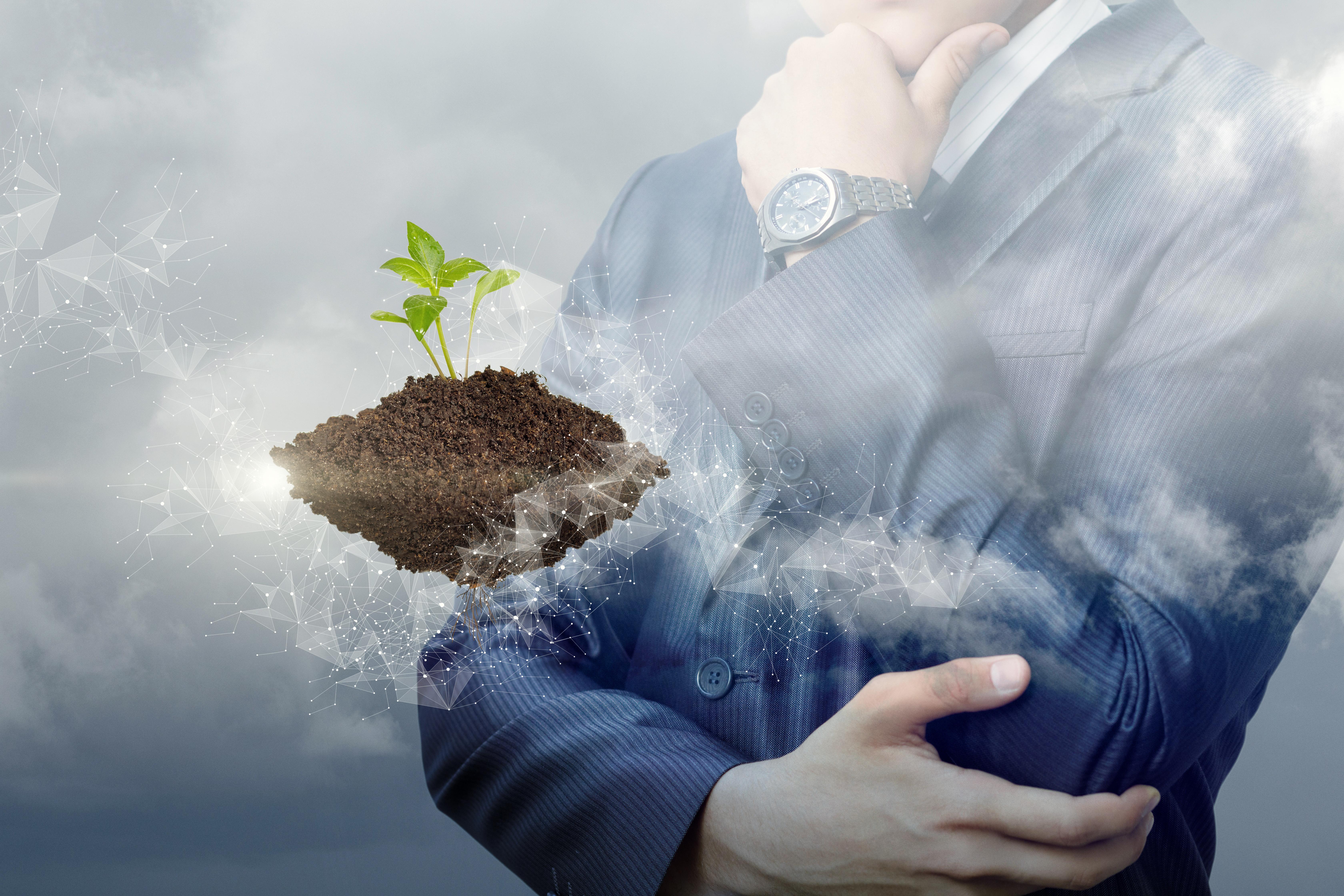 التسويق المستدام