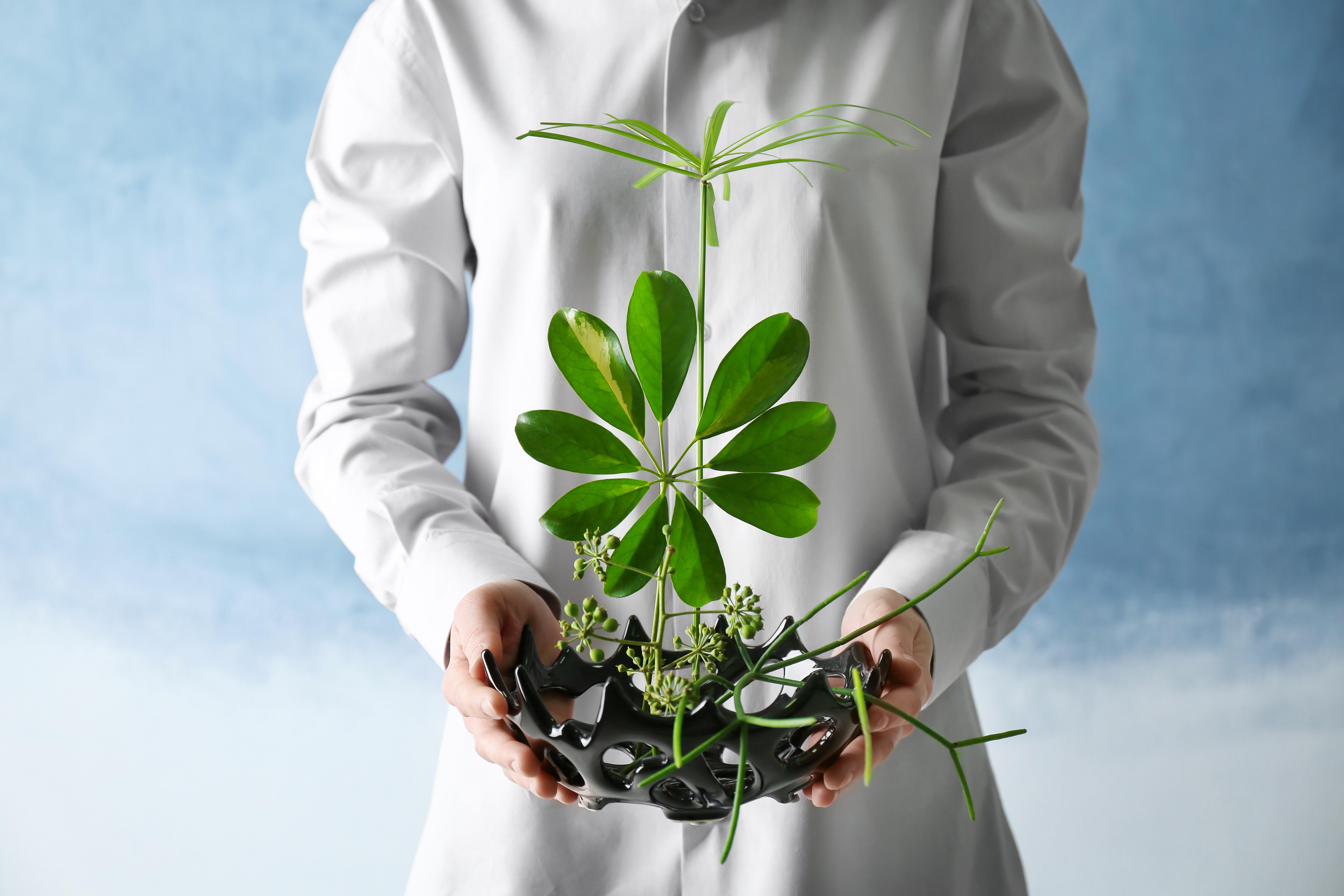 التأثير البيئي